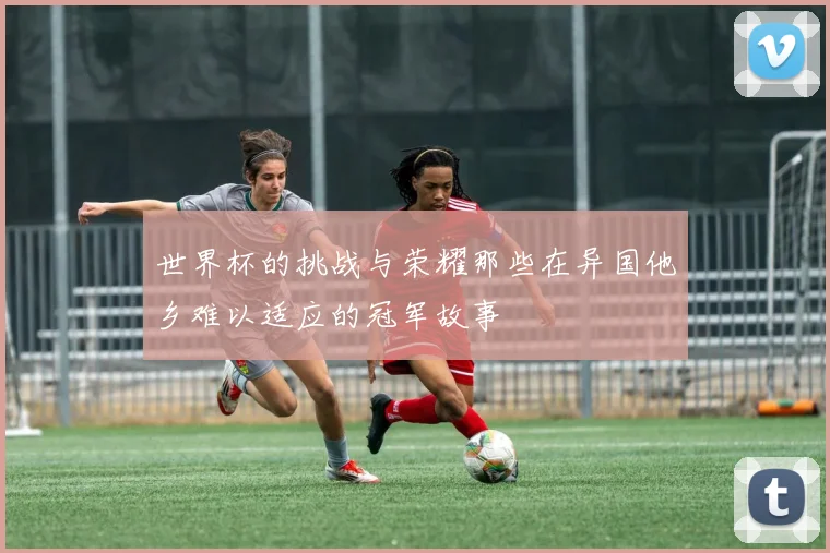 世界杯的挑战与荣耀那些在异国他乡难以适应的冠军故事
