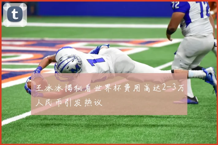 王冰冰揭秘看世界杯费用高达2-3万人民币引发热议